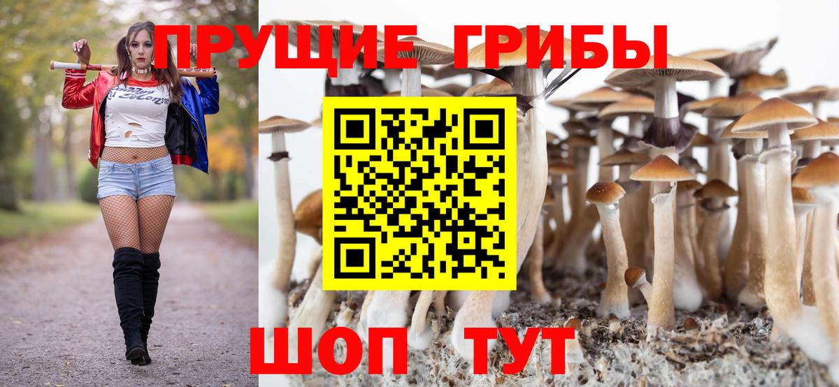Галлюциногенные грибы ЛСД  Галлюциногенные грибы Psilocybe  Вход с VPN  Глазов 